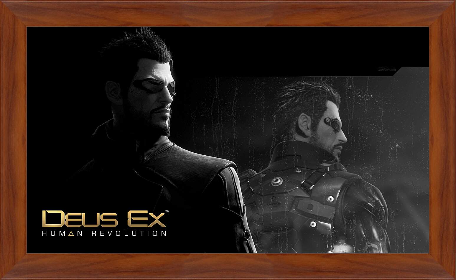 Картина в раме - Deus Ex
