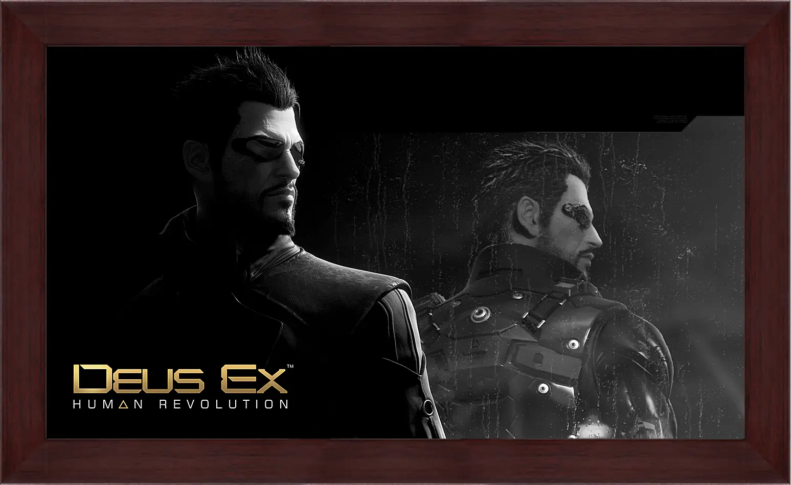 Картина в раме - Deus Ex
