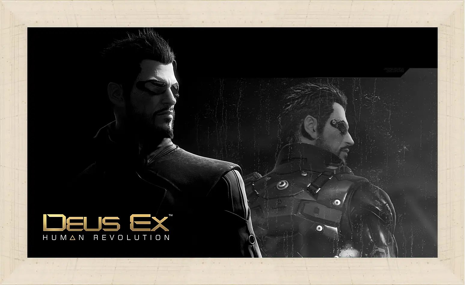 Картина в раме - Deus Ex
