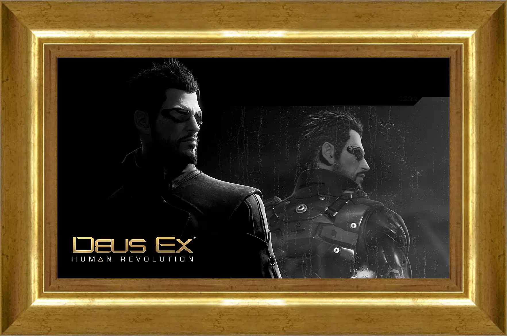 Картина в раме - Deus Ex
