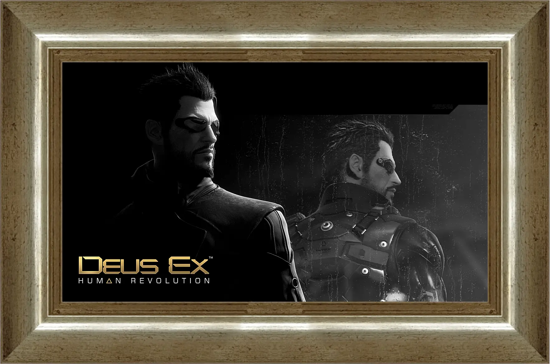 Картина в раме - Deus Ex
