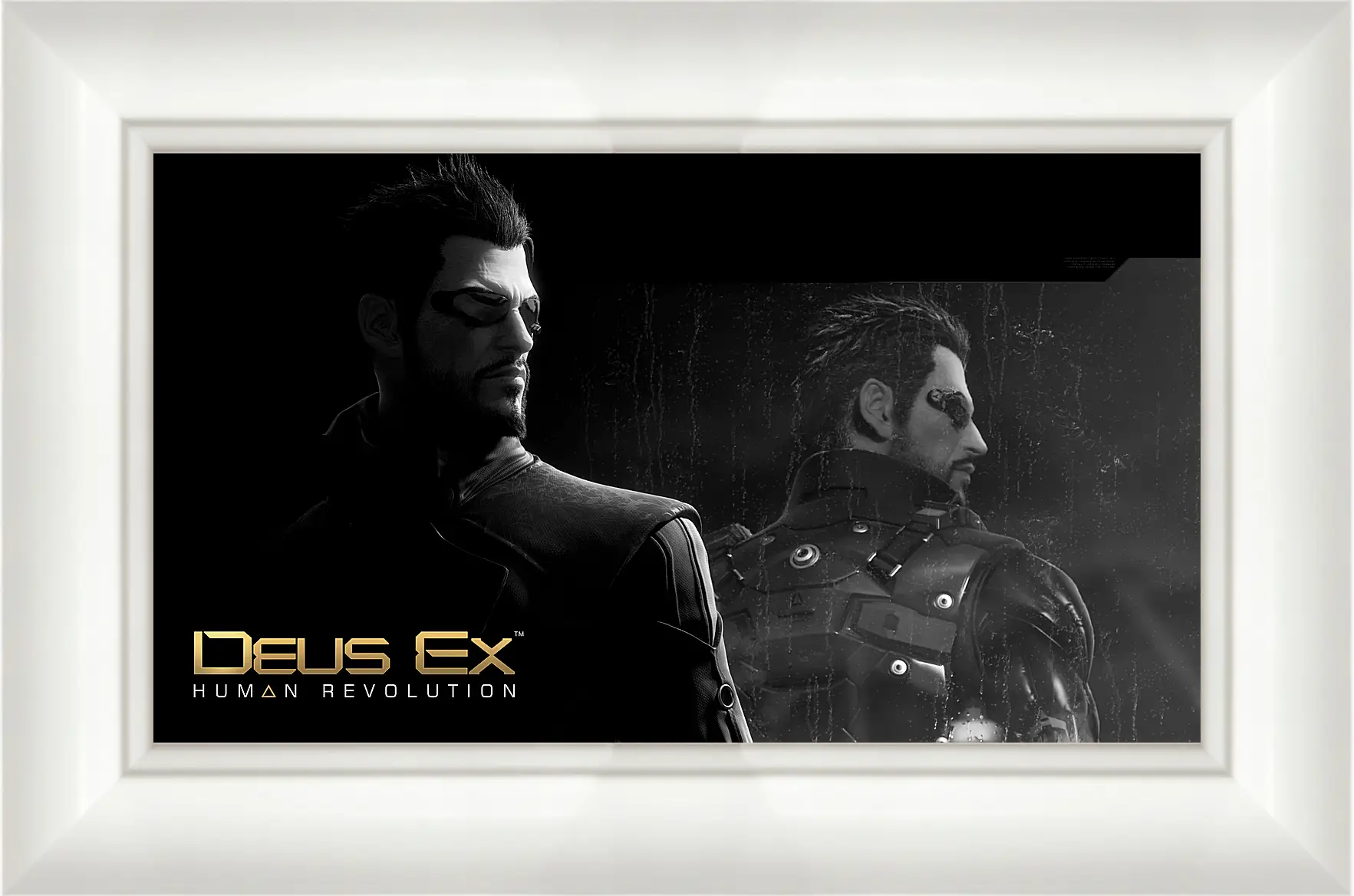 Картина в раме - Deus Ex
