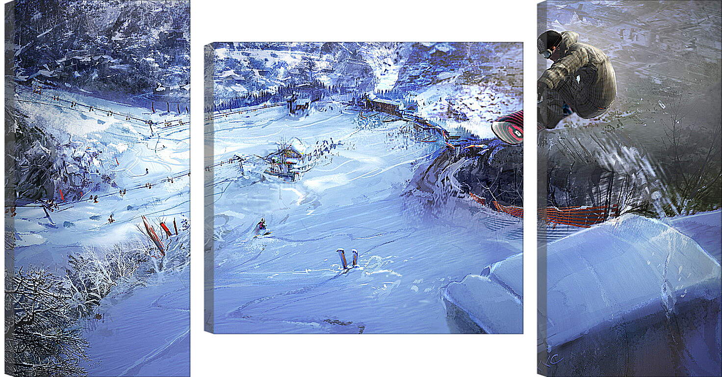 Модульная картина - Shaun White Snowboarding
