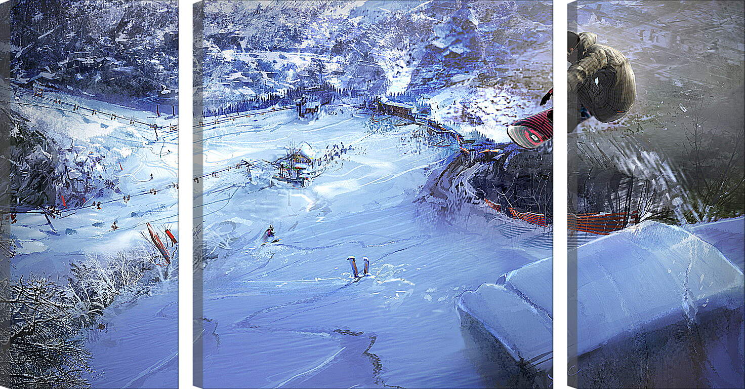 Модульная картина - Shaun White Snowboarding
