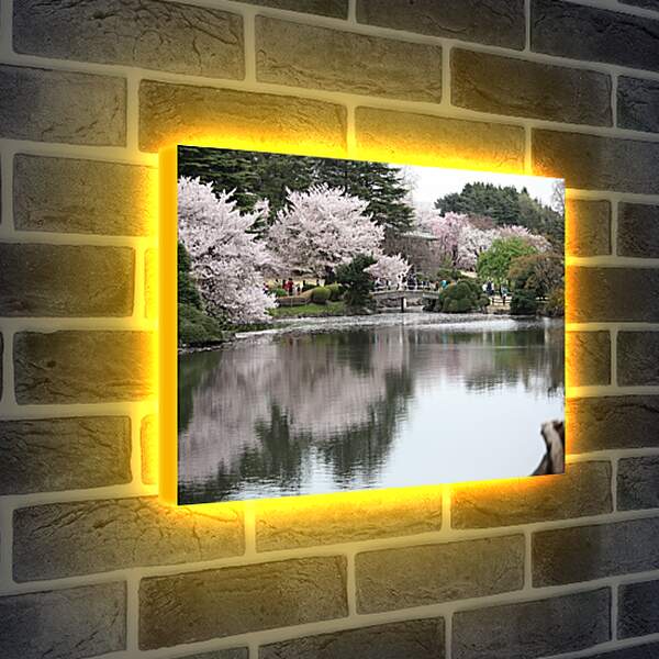 Лайтбокс световая панель - Синзюку-Гезн. Япония.