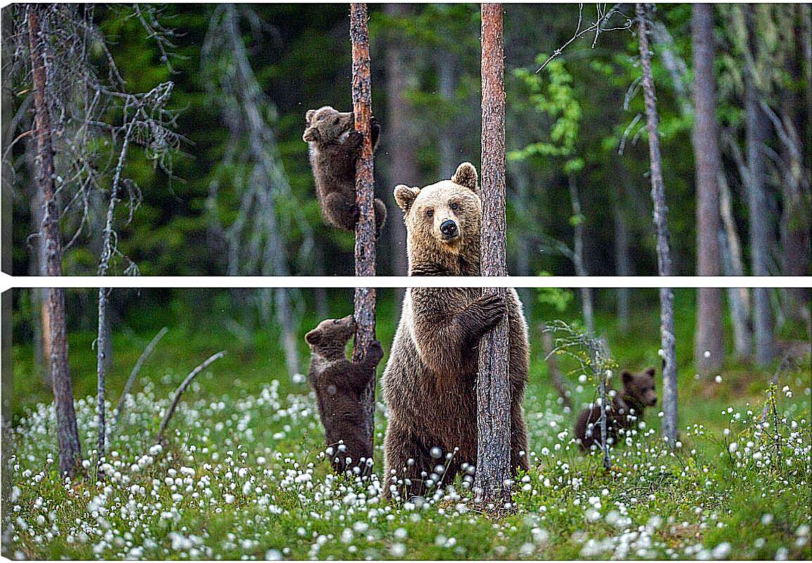 Модульная картина - Медведица и три медвежонка