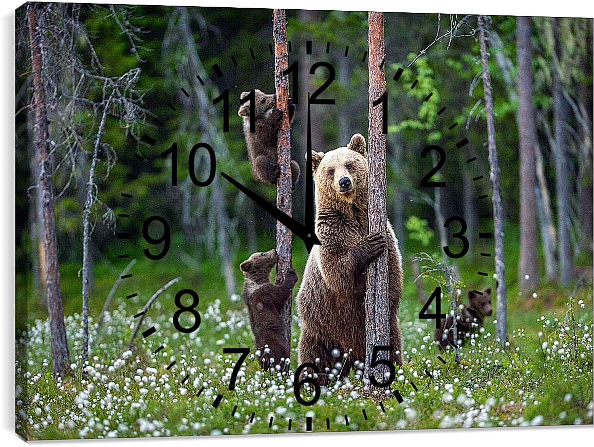 Часы картина - Медведица и три медвежонка