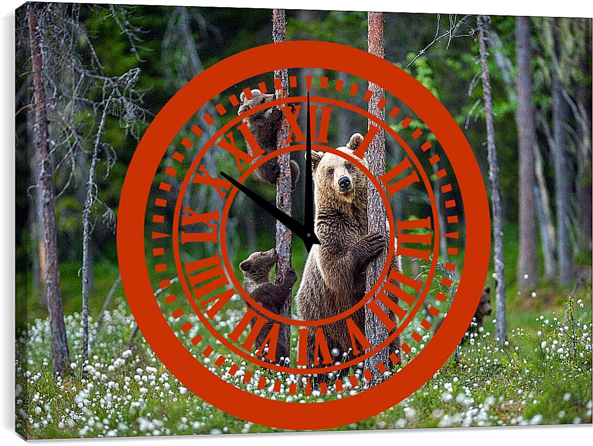 Часы картина - Медведица и три медвежонка