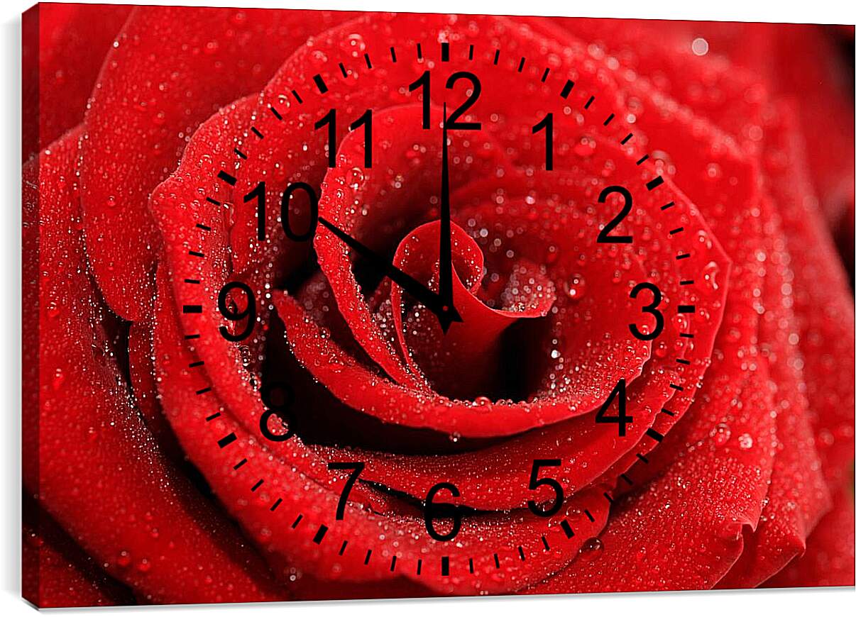 Часы картина - Роза с каплями росы