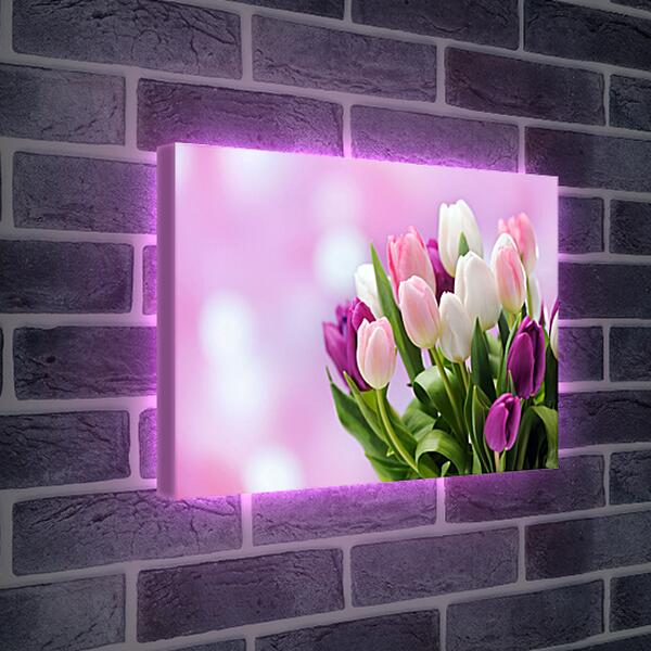 Лайтбокс световая панель - Букет тюльпанов
