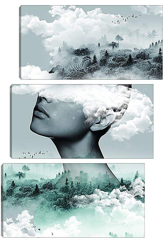 Модульная картина - Лицо девушки в облаках