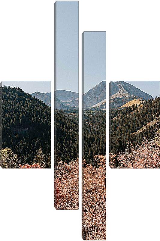 Модульная картина - Разнообразный лес и горы