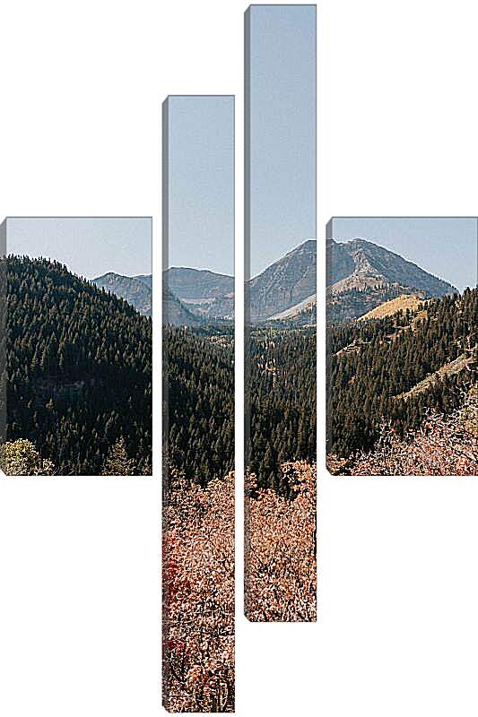 Модульная картина - Разнообразный лес и горы