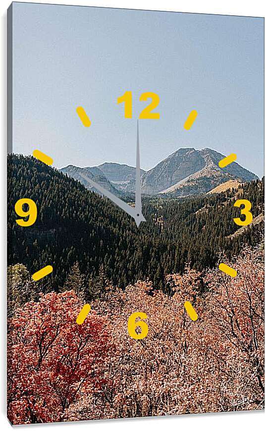 Часы картина - Разнообразный лес и горы