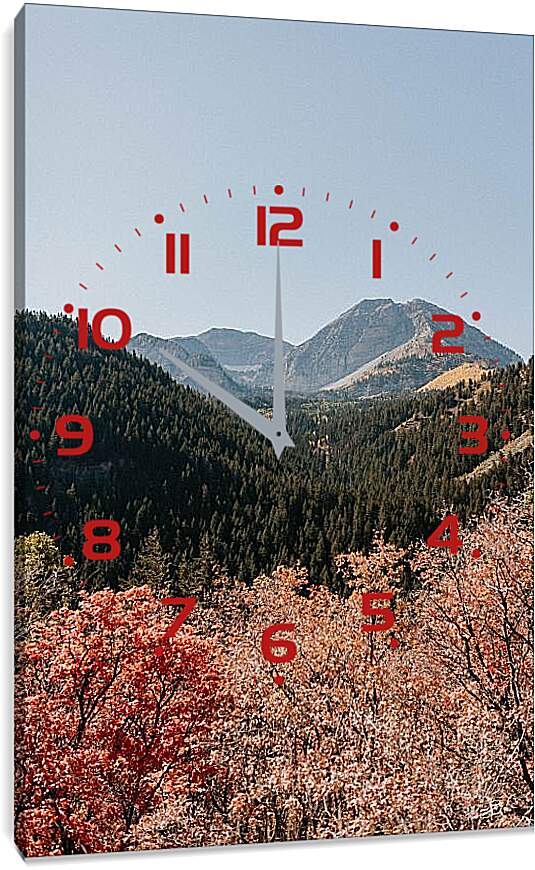 Часы картина - Разнообразный лес и горы