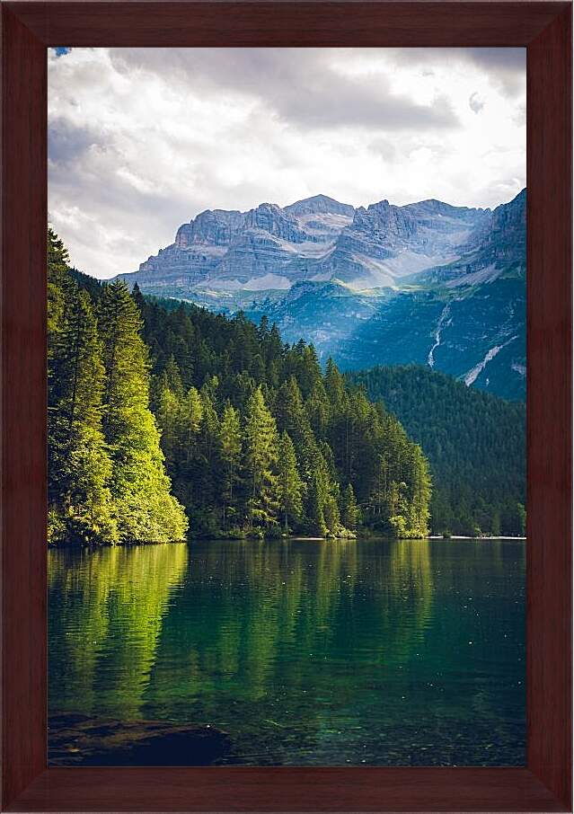 Картина в раме - Лес возле водоёма и горы