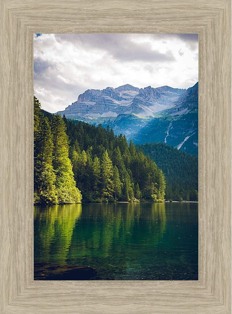 Картина в раме - Лес возле водоёма и горы