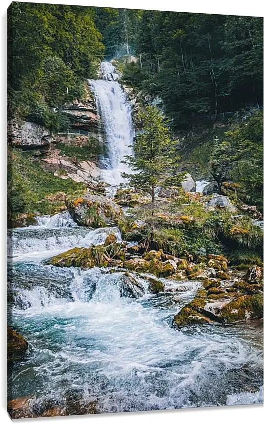 Постер и плакат - Водопад в лесу