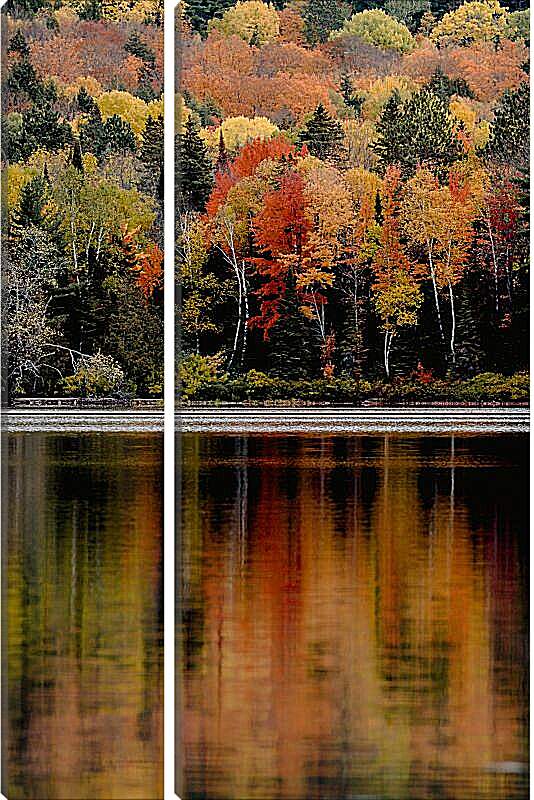 Модульная картина - Осенние цвета