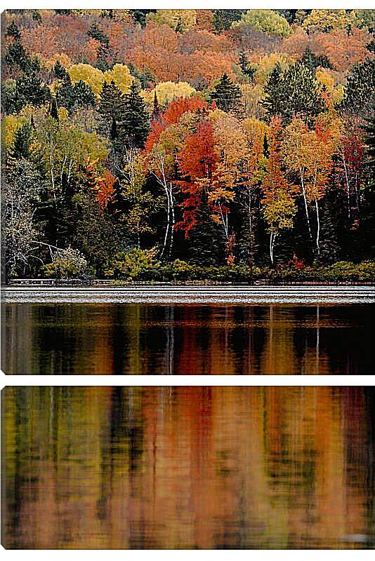 Модульная картина - Осенние цвета