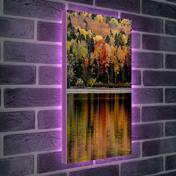 Лайтбокс световая панель - Осенние цвета