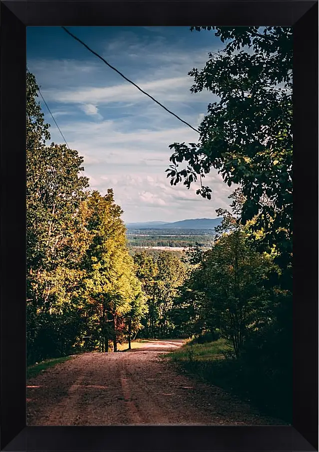 Картина в раме - Летний денёк