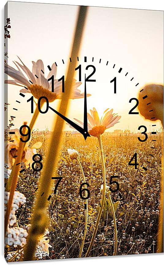 Часы картина - Закат над полем
