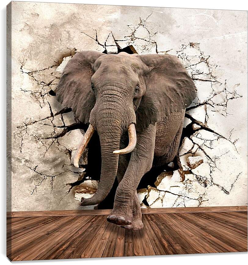 Постер и плакат - Слон прошёл сквозь стену