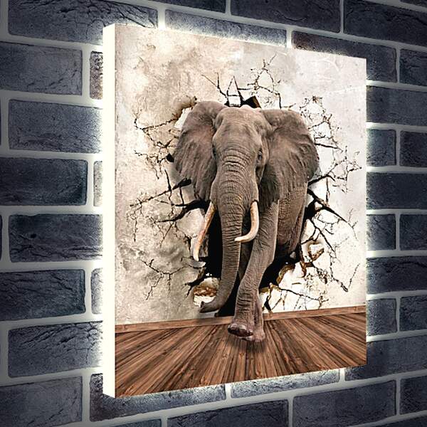 Лайтбокс световая панель - Слон прошёл сквозь стену