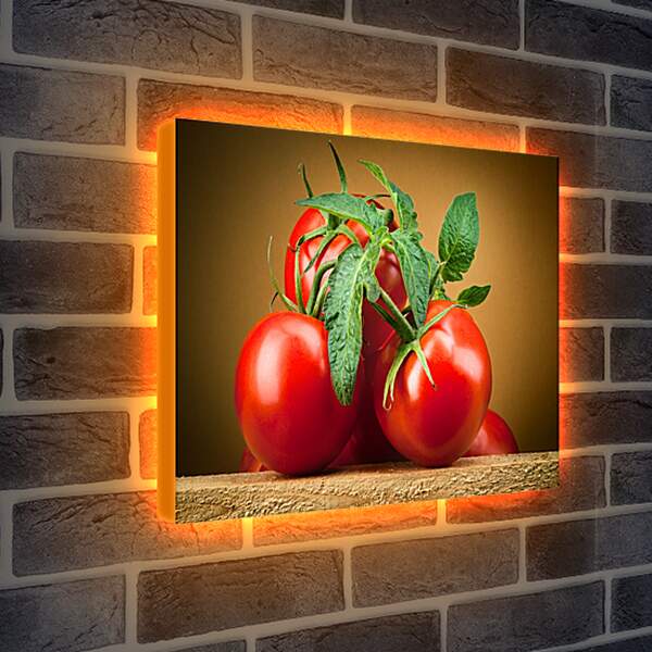 Лайтбокс световая панель - Спелые помидоры