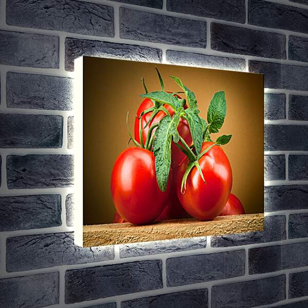 Лайтбокс световая панель - Спелые помидоры