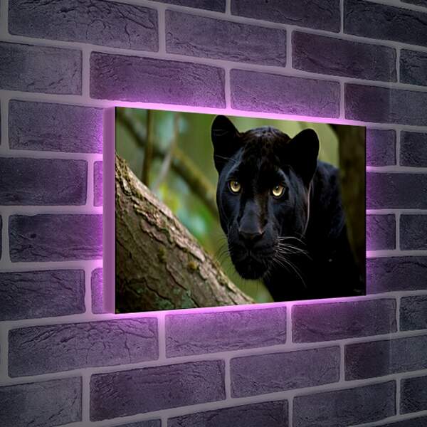 Лайтбокс световая панель - Пантера