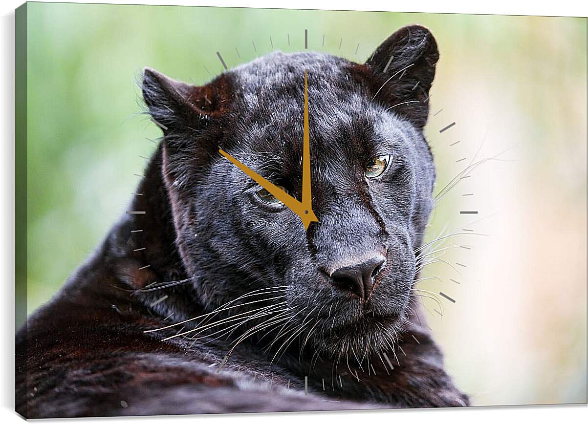 Часы картина - Пантера