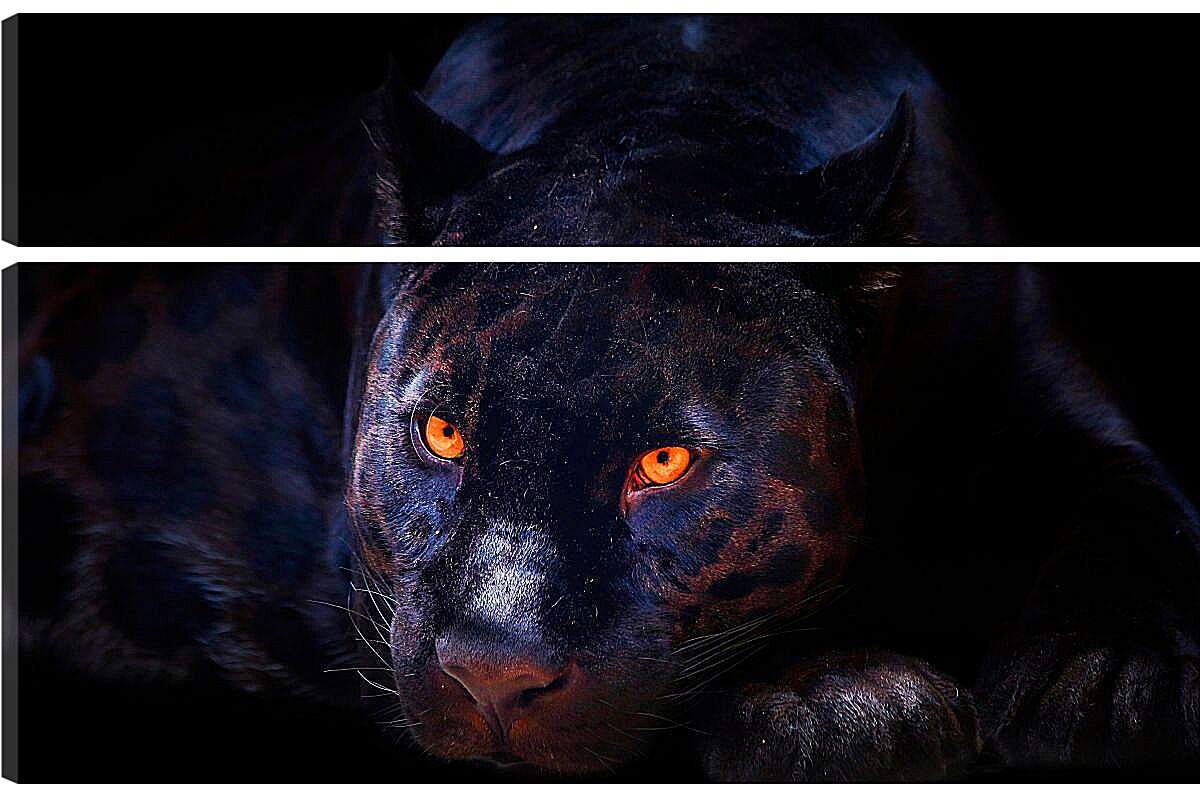 Модульная картина - Пантера со светящимися глазами