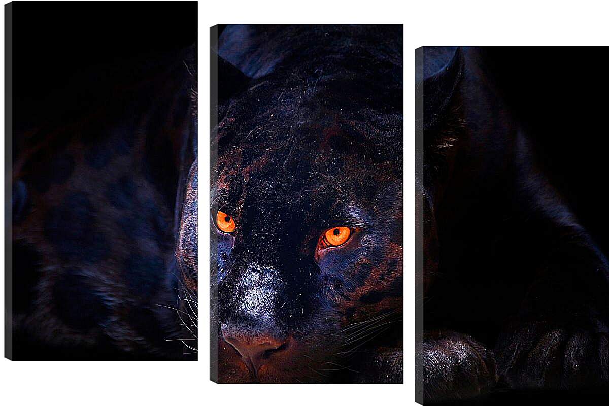 Модульная картина - Пантера со светящимися глазами