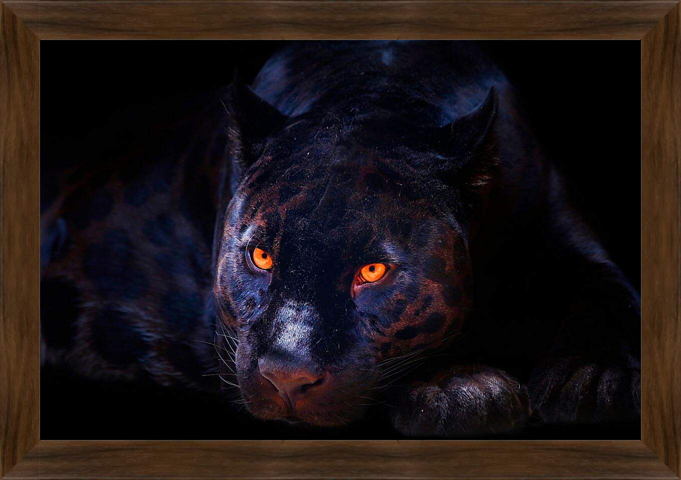 Картина в раме - Пантера со светящимися глазами