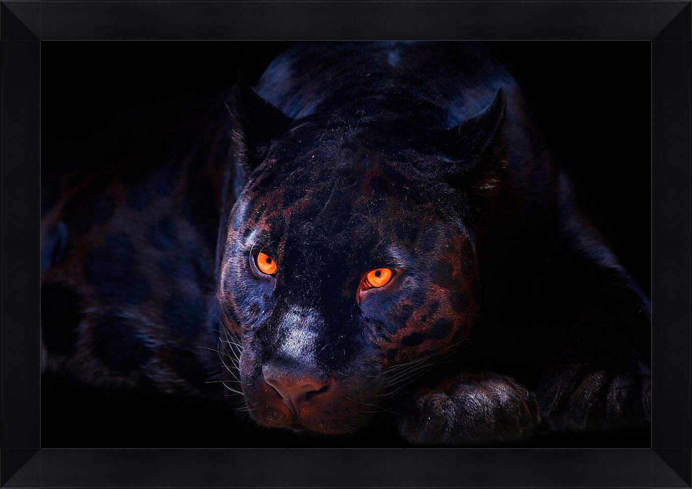 Картина в раме - Пантера со светящимися глазами