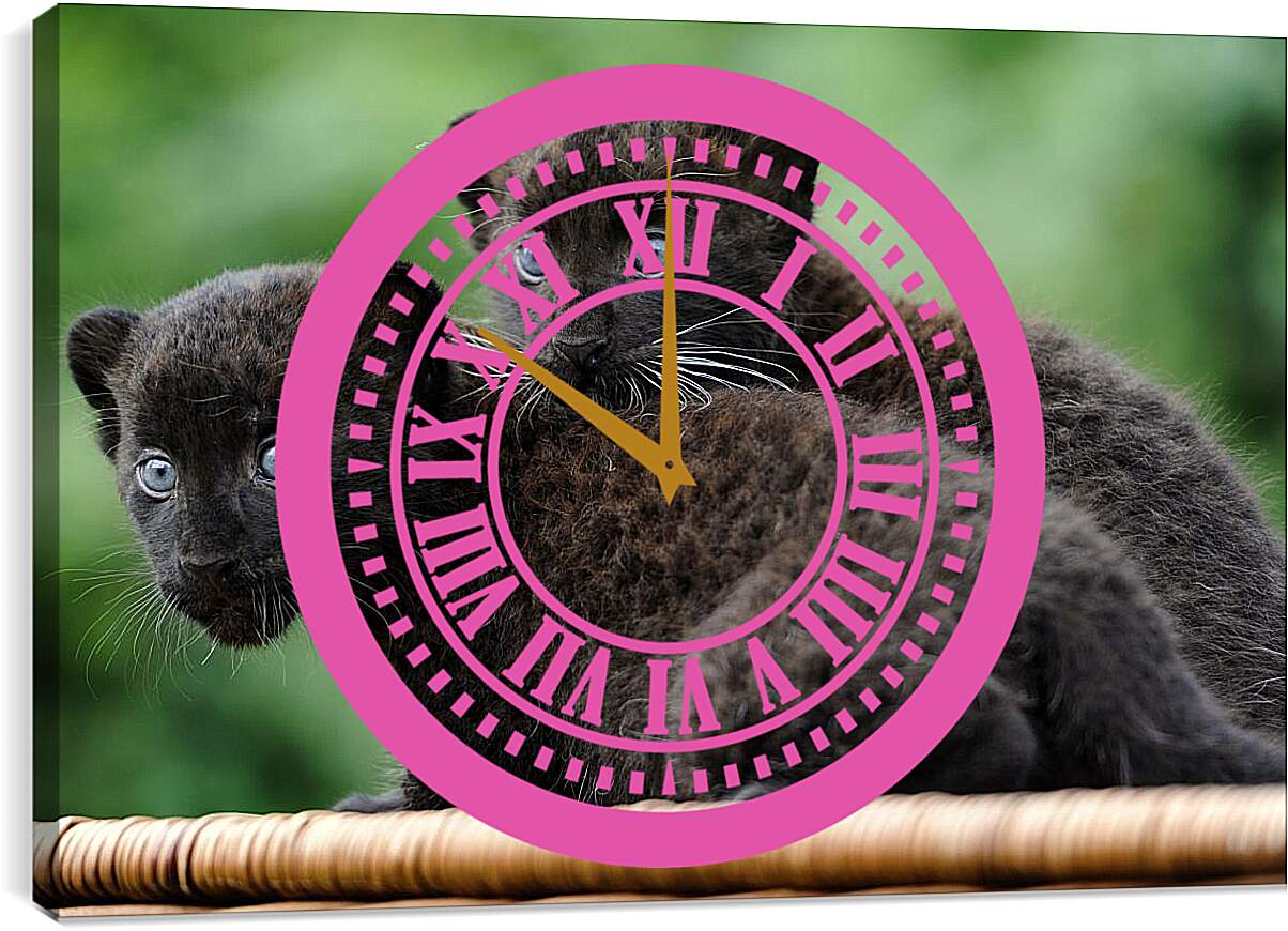 Часы картина - Детёныши чёрной пантеры