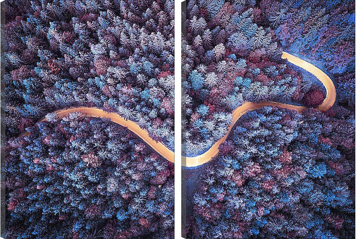 Модульная картина - Дорога проходящая в лесу