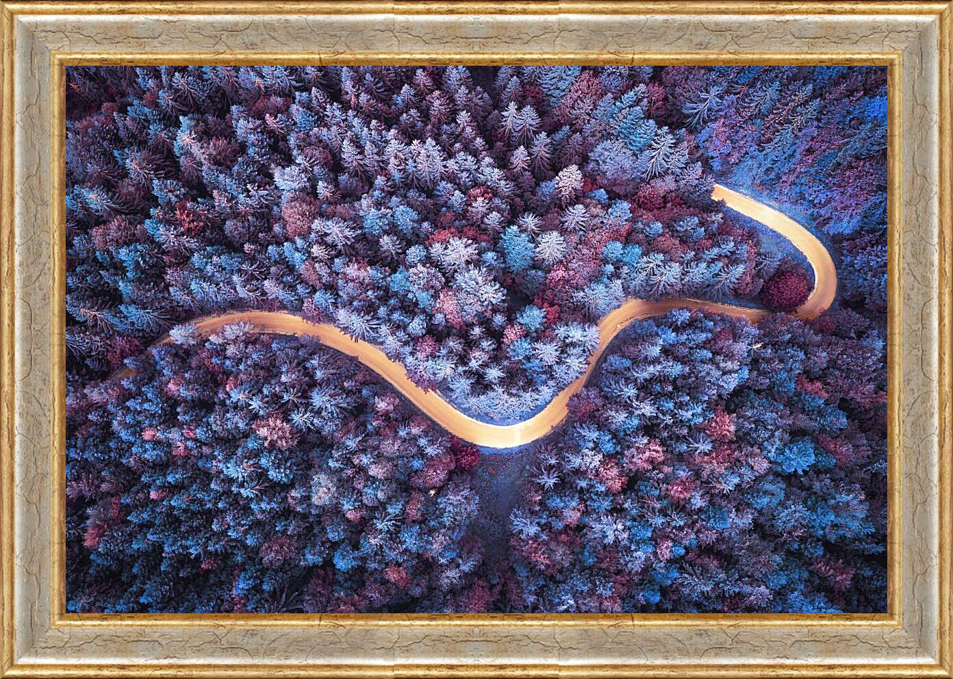 Картина в раме - Дорога проходящая в лесу