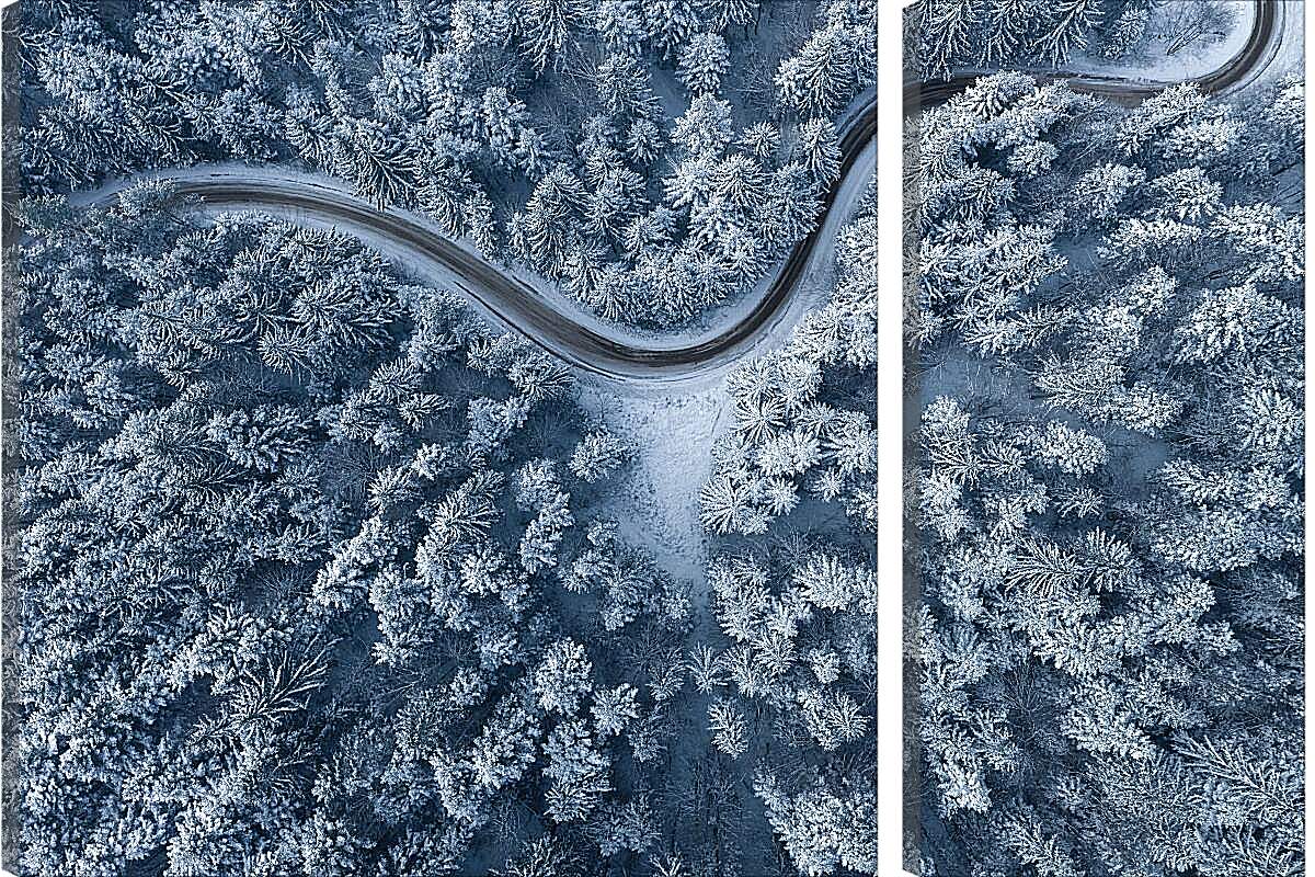 Модульная картина - Дорога проходящая через лес