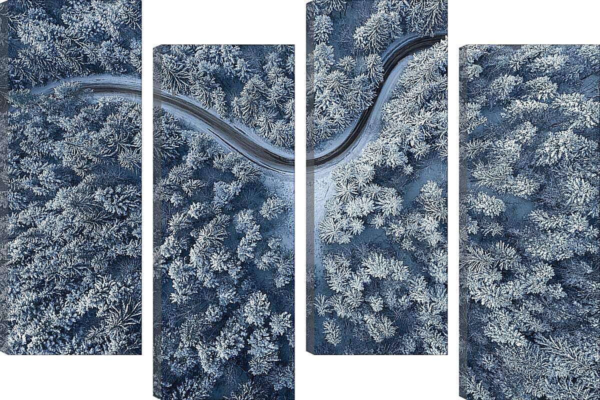 Модульная картина - Дорога проходящая через лес