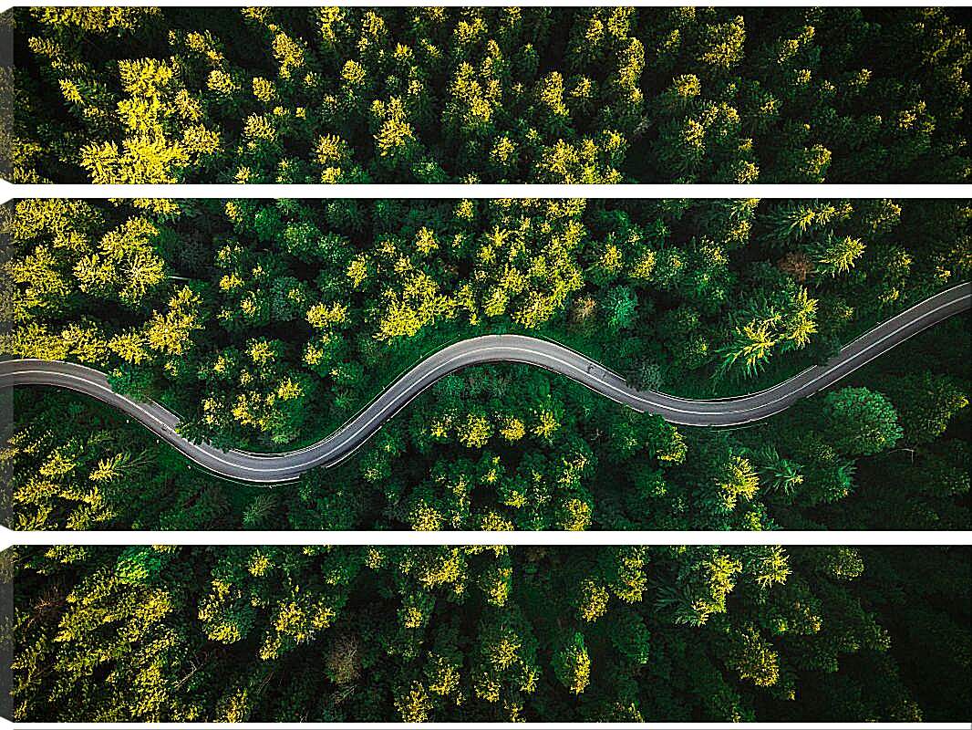 Модульная картина - Изогнутая дорога в лесу