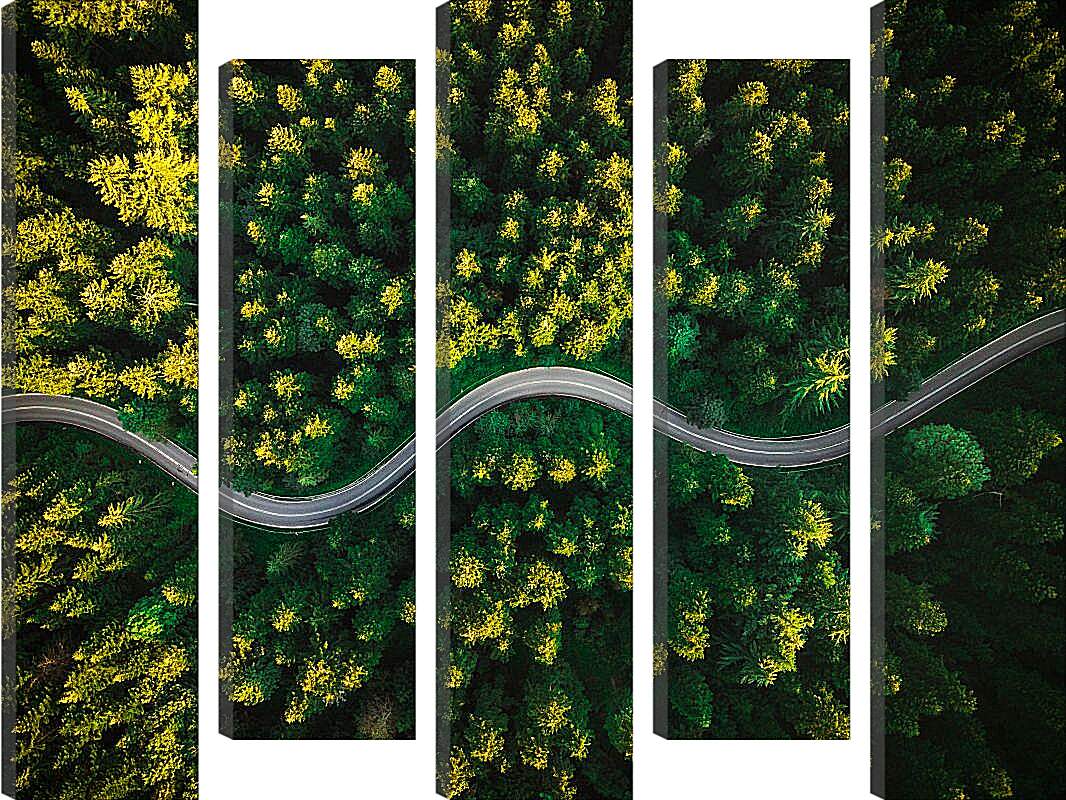 Модульная картина - Изогнутая дорога в лесу