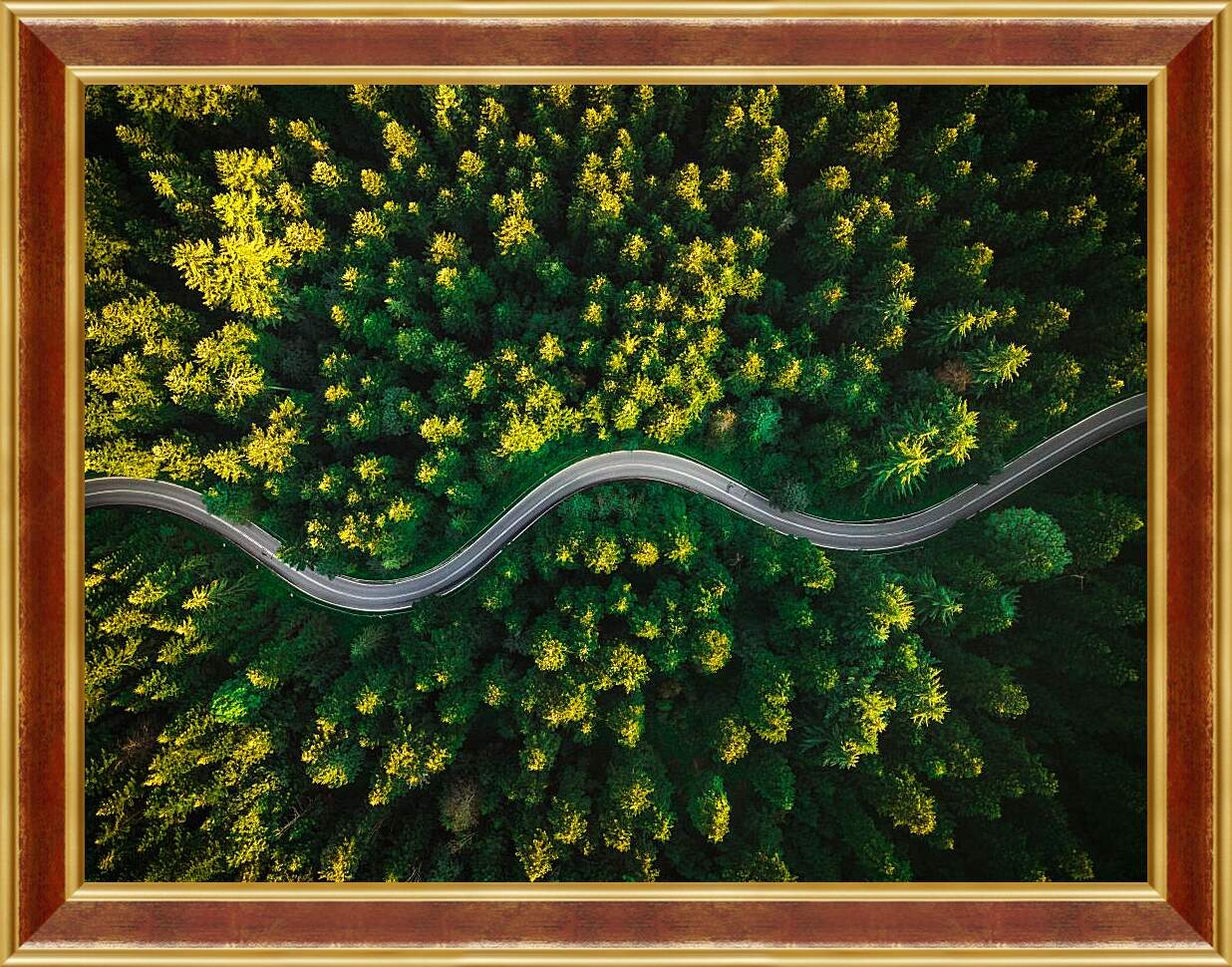 Картина в раме - Изогнутая дорога в лесу