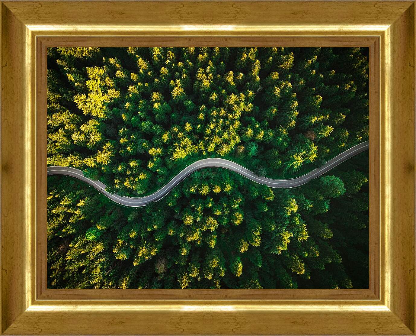 Картина в раме - Изогнутая дорога в лесу