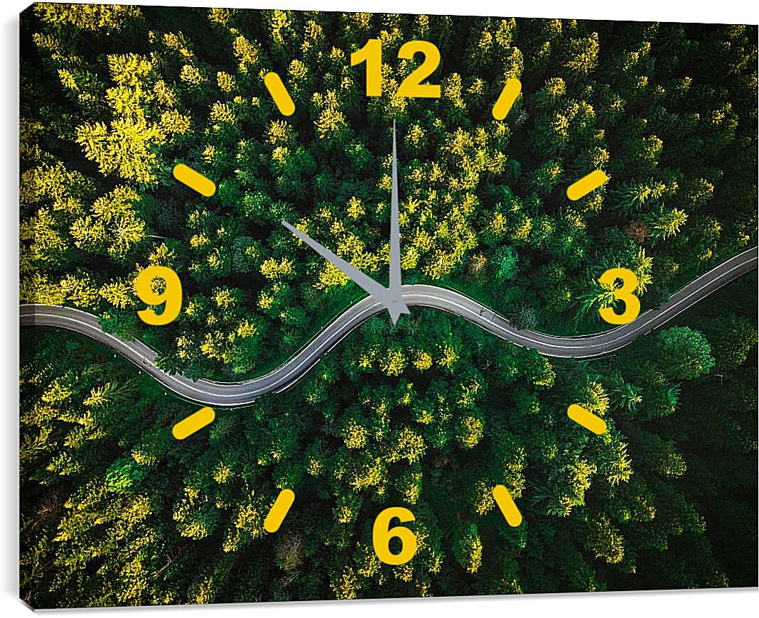 Часы картина - Изогнутая дорога в лесу