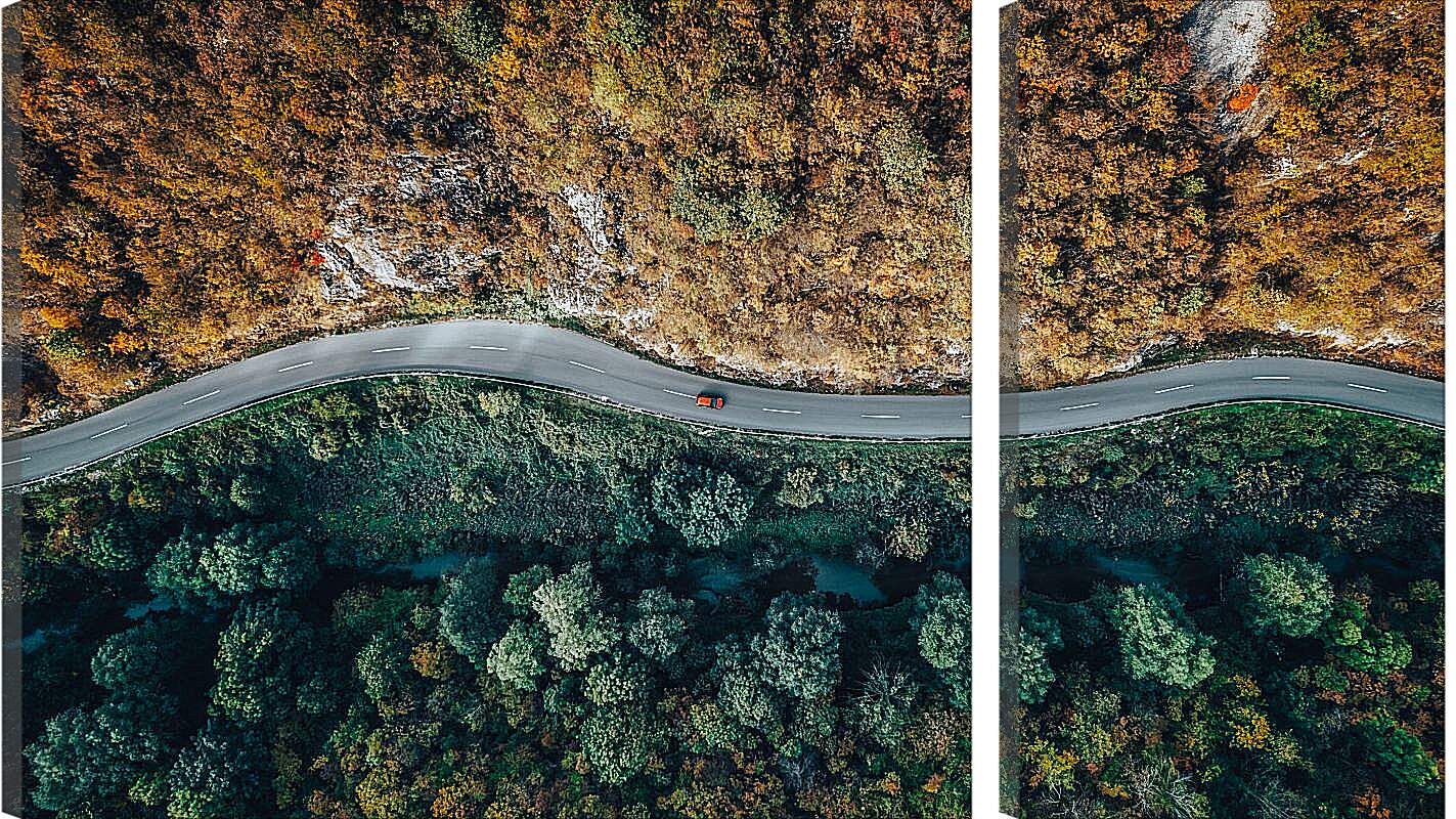Модульная картина - Дорога разделяющая лес