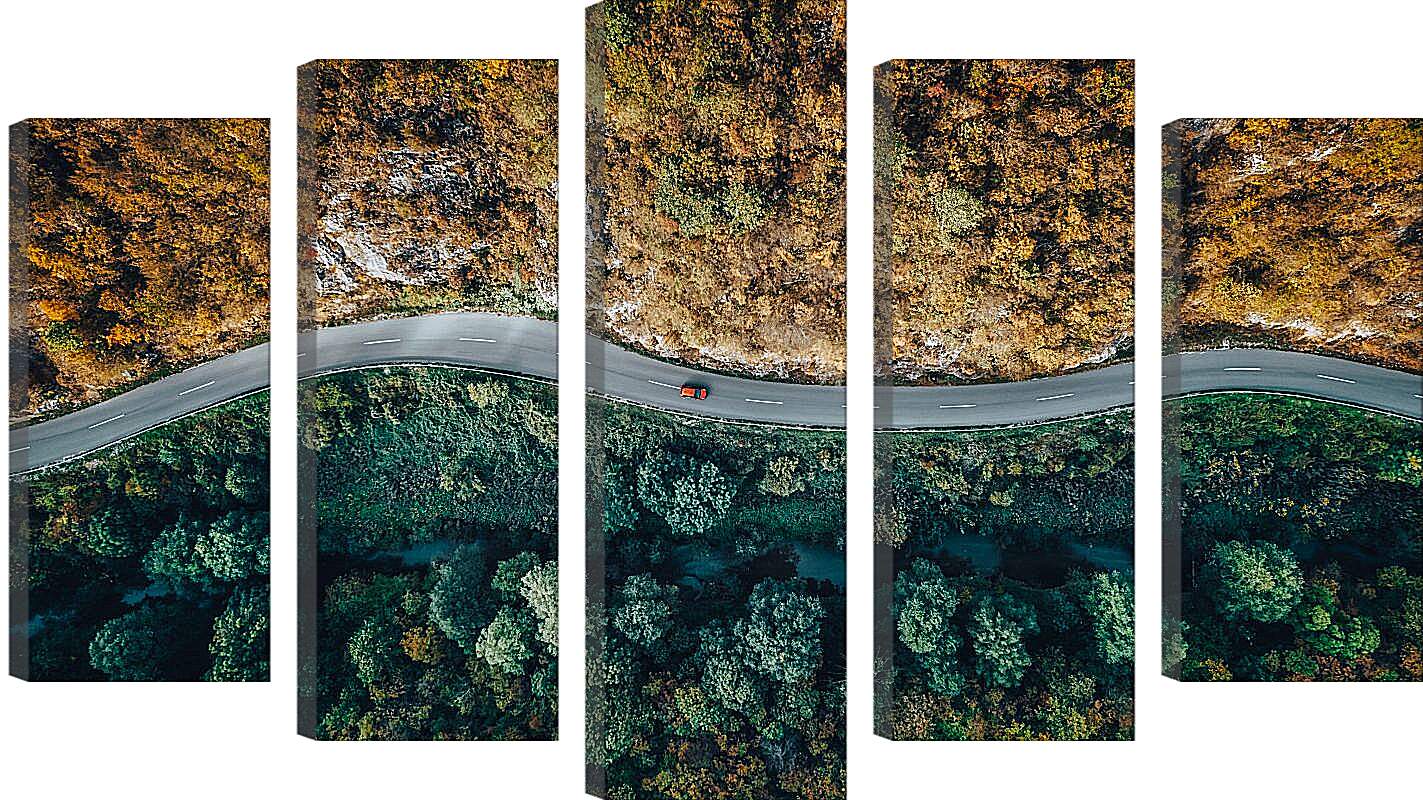 Модульная картина - Дорога разделяющая лес