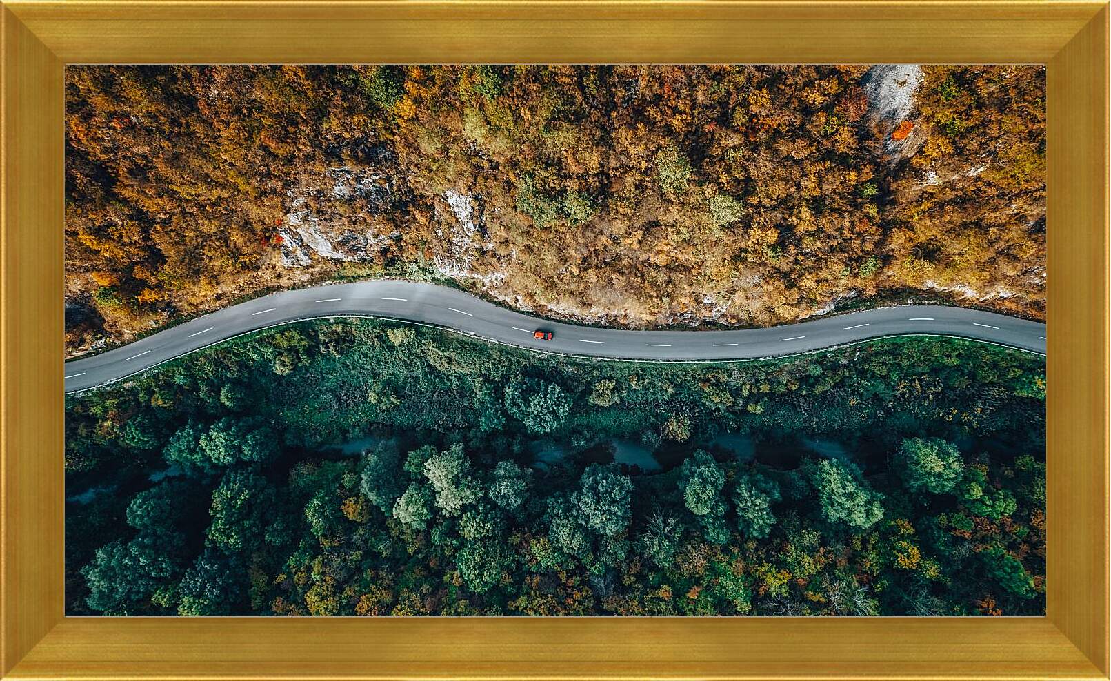 Картина в раме - Дорога разделяющая лес